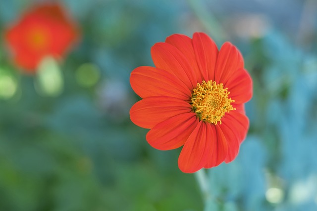 以普陀三中 以普陀三中