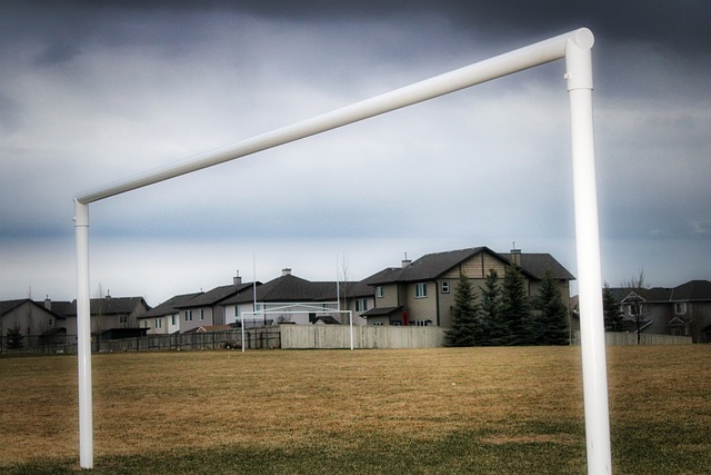 伦纳德的缺 伦纳德的缺