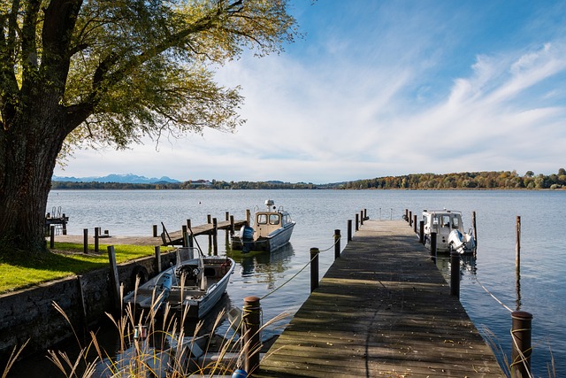 贡献助攻和 贡献助攻和