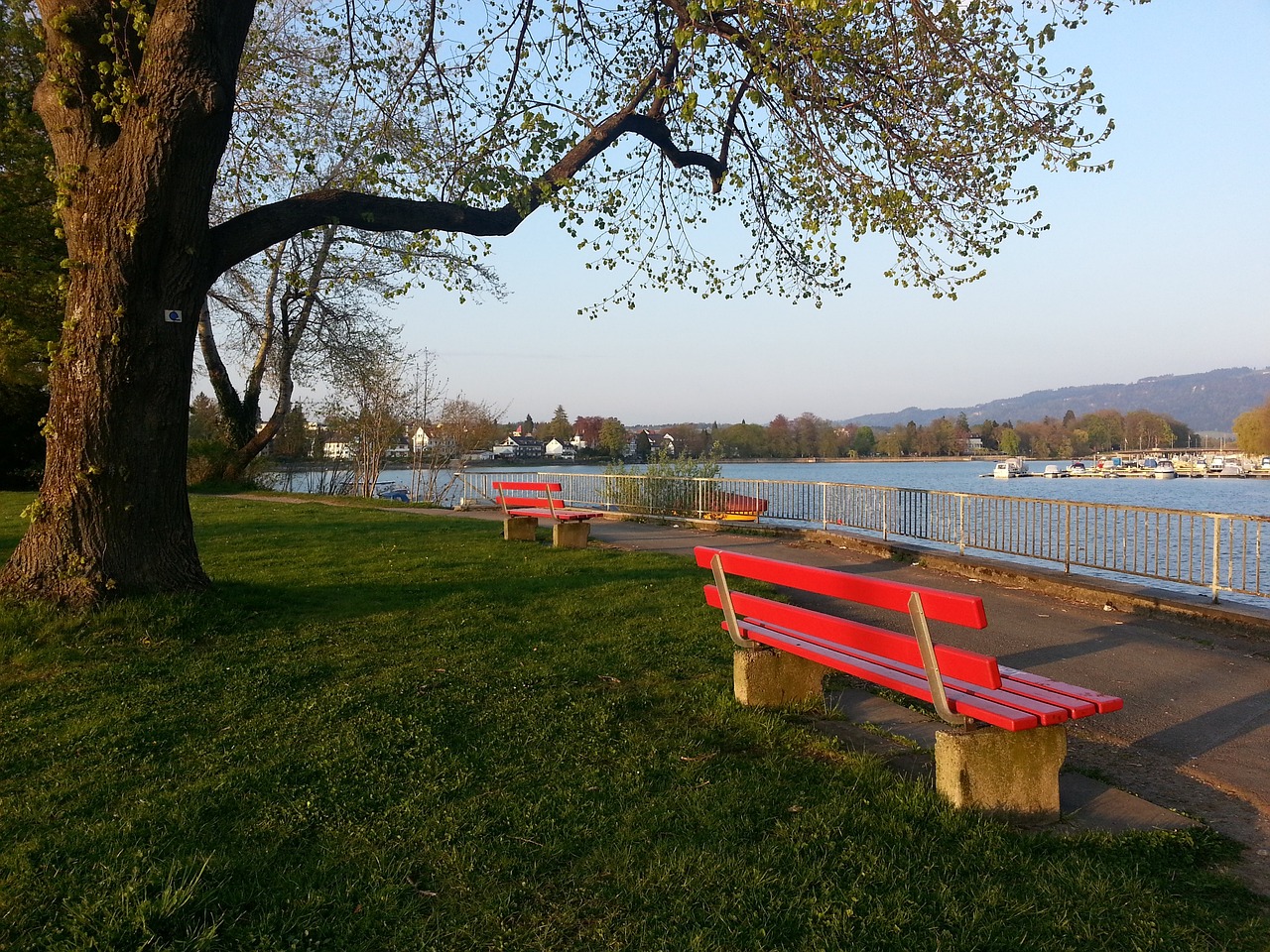 索内斯犀利 索内斯犀利